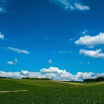 年末の忙しい時期にふるさと納税で焼肉ジンギスカンセットとA4等級・鹿児島産黒毛和牛すき焼き＆鹿児島県大隅産うなぎ2尾（無頭）セットを申し込んだの巻