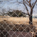 【ご注意】新木場公園は2017年3月21日、明日まで改修工事中です！