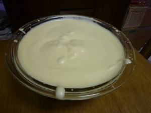 P1010490