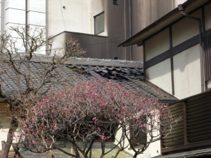 P1070082
