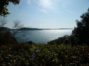 P1120730