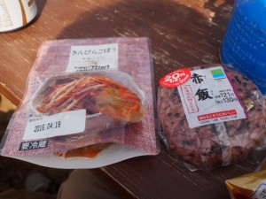 P3055629
